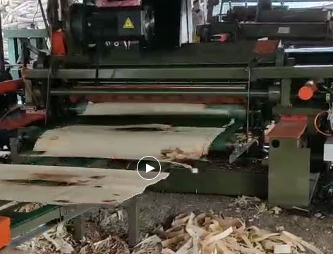 4ft 1300mm Hydraulic Debarker Machine Log Debarker Machine Shipped to Philippines