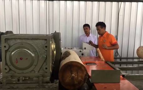 Indonesia Segon veneer peeling and stacking 